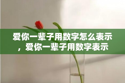 爱你一辈子用数字怎么表示，爱你一辈子用数字表示