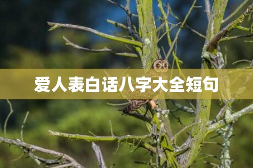 爱人表白话八字大全短句