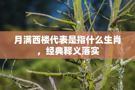 月满西楼代表是指什么生肖，经典释义落实