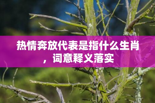 热情奔放代表是指什么生肖，词意释义落实