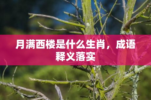 月满西楼是什么生肖，成语释义落实