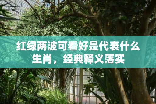 红绿两波可看好是代表什么生肖，经典释义落实