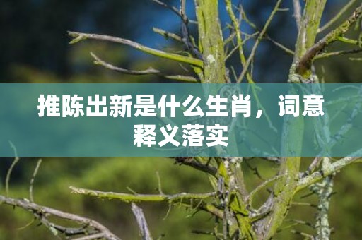 推陈出新是什么生肖，词意释义落实