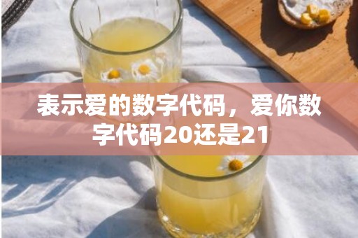表示爱的数字代码，爱你数字代码20还是21