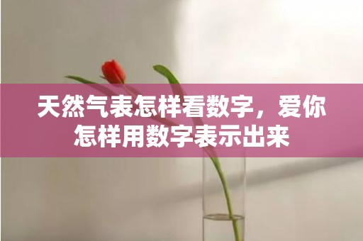 天然气表怎样看数字，爱你怎样用数字表示出来