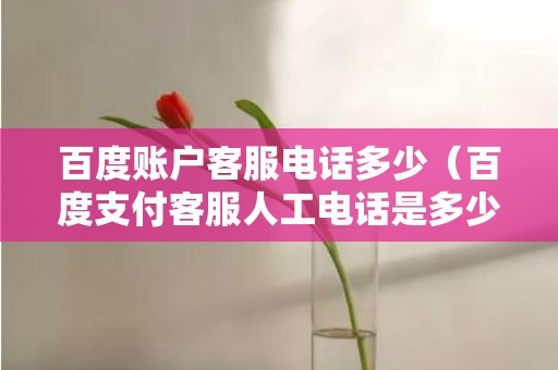 百度账户客服电话多少（百度支付客服人工电话是多少）
