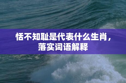 恬不知耻是代表什么生肖，落实词语解释
