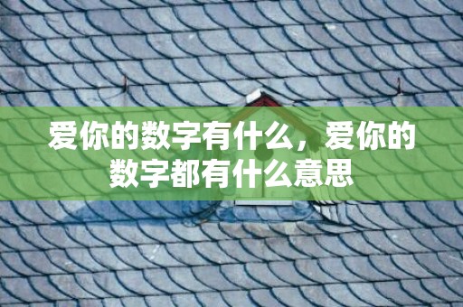 爱你的数字有什么，爱你的数字都有什么意思