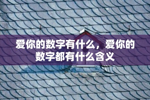 爱你的数字有什么，爱你的数字都有什么含义