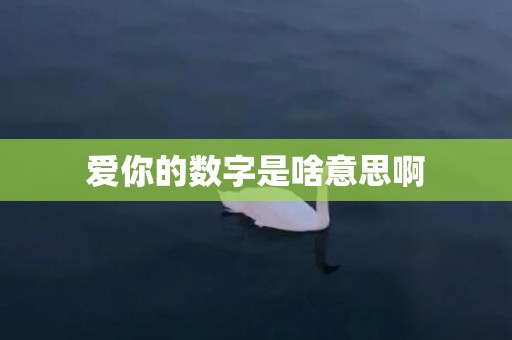 爱你的数字是啥意思啊