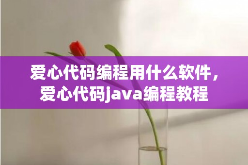爱心代码编程用什么软件，爱心代码java编程教程