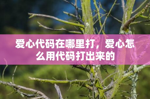 爱心代码在哪里打，爱心怎么用代码打出来的