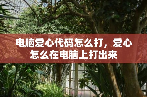 电脑爱心代码怎么打，爱心怎么在电脑上打出来