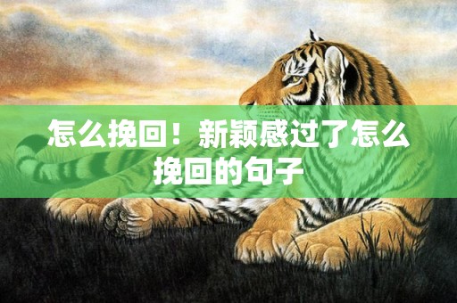 怎么挽回！新颖感过了怎么挽回的句子