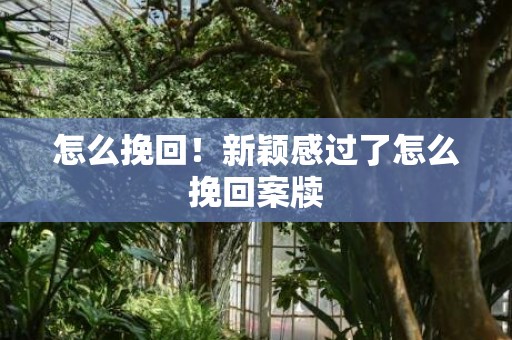 怎么挽回！新颖感过了怎么挽回案牍
