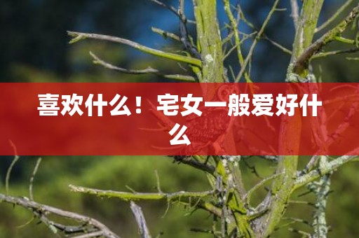 喜欢什么！宅女一般爱好什么