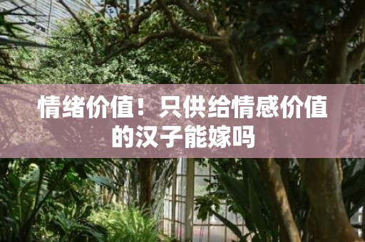 情绪价值！只供给情感价值的汉子能嫁吗