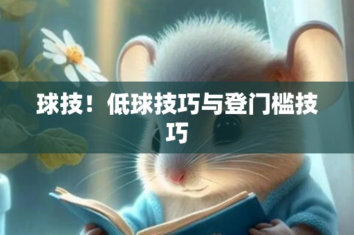 球技！低球技巧与登门槛技巧