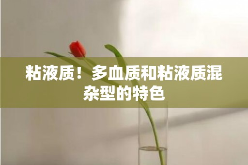 粘液质！多血质和粘液质混杂型的特色