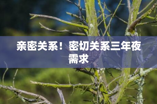 亲密关系！密切关系三年夜需求