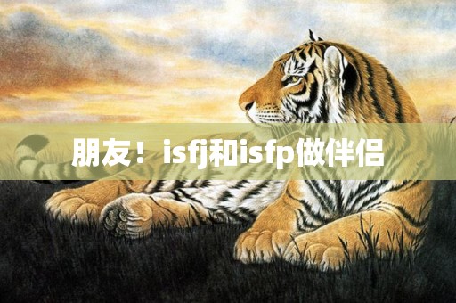 朋友！isfj和isfp做伴侣