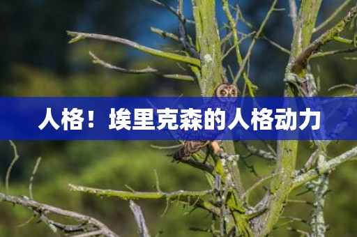 人格！埃里克森的人格动力