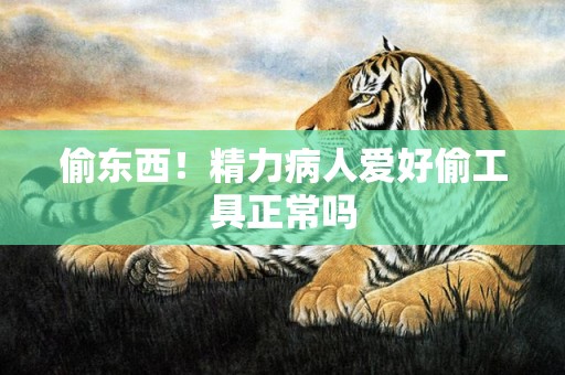 偷东西！精力病人爱好偷工具正常吗
