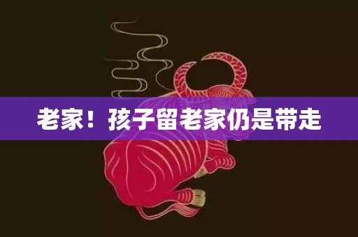 老家！孩子留老家仍是带走