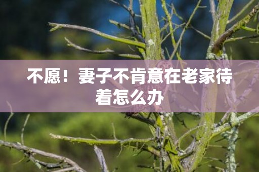 不愿！妻子不肯意在老家待着怎么办