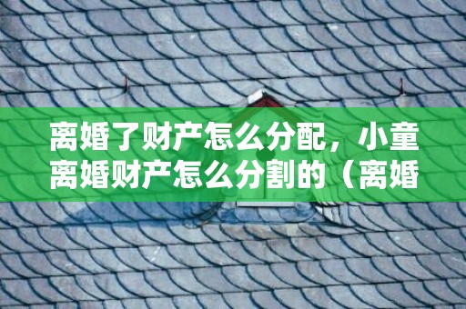 离婚了财产怎么分配，小童离婚财产怎么分割的（离婚小孩判定标准）