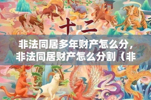 非法同居多年财产怎么分，非法同居财产怎么分割（非法同居财产分割诉状）