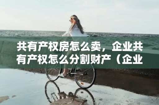 共有产权房怎么卖，企业共有产权怎么分割财产（企业共有财产可以保全吗）