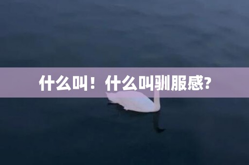 什么叫！什么叫驯服感?