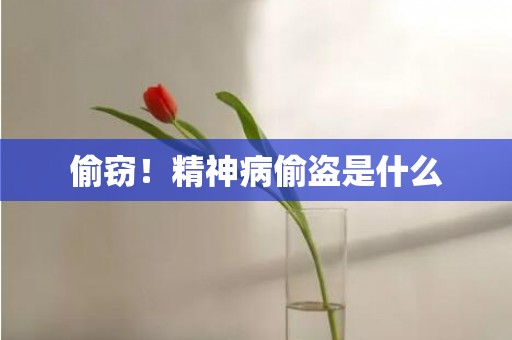 偷窃！精神病偷盗是什么