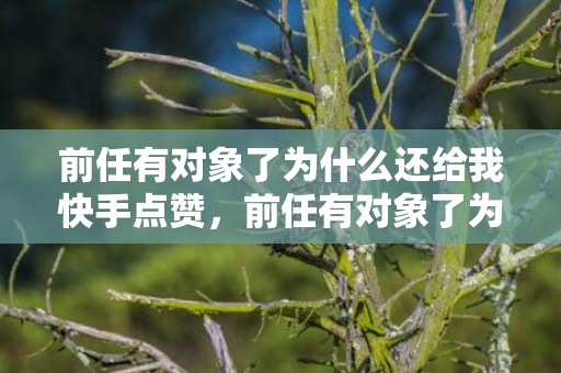 前任有对象了为什么还给我快手点赞，前任有对象了为什么还联系我（前女友有男朋友了还联系我）