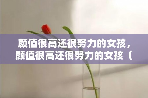 颜值很高还很努力的女孩，颜值很高还很努力的女孩（山东学霸美女颜值高又努力）