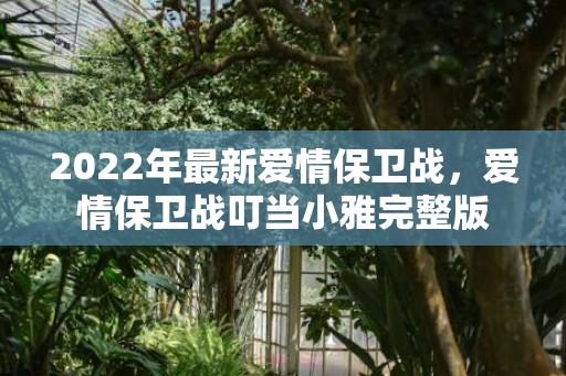 2022年最新爱情保卫战，爱情保卫战叮当小雅完整版