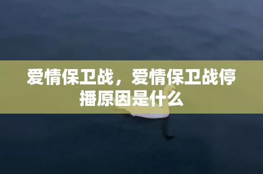 爱情保卫战，爱情保卫战停播原因是什么