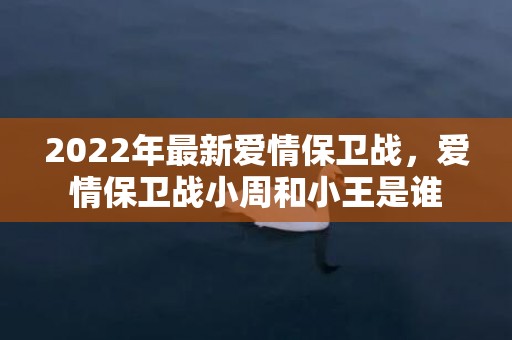 2022年最新爱情保卫战，爱情保卫战小周和小王是谁