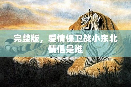 完整版，爱情保卫战小东北情侣是谁
