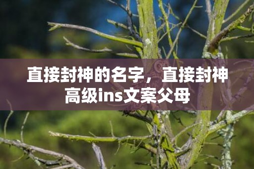 直接封神的名字，直接封神高级ins文案父母