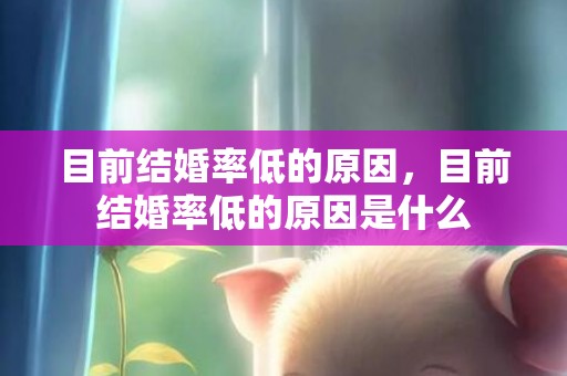 目前结婚率低的原因，目前结婚率低的原因是什么