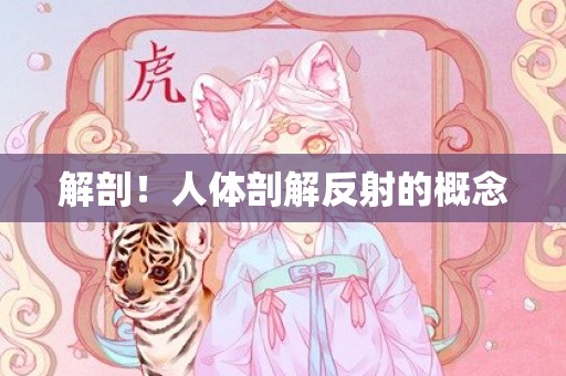 解剖！人体剖解反射的概念
