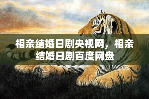 相亲结婚日剧央视网，相亲结婚日剧百度网盘
