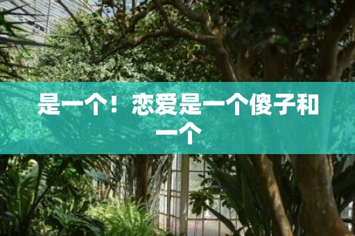 是一个！恋爱是一个傻子和一个