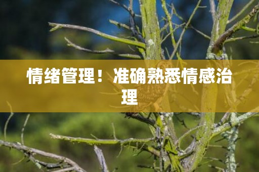 情绪管理！准确熟悉情感治理