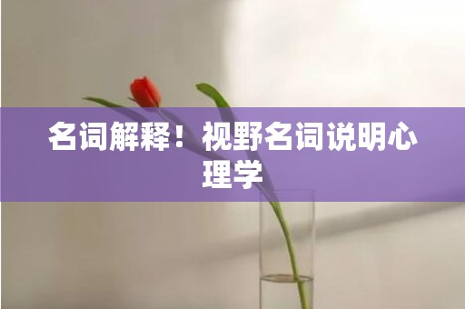 名词解释！视野名词说明心理学