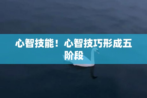 心智技能！心智技巧形成五阶段