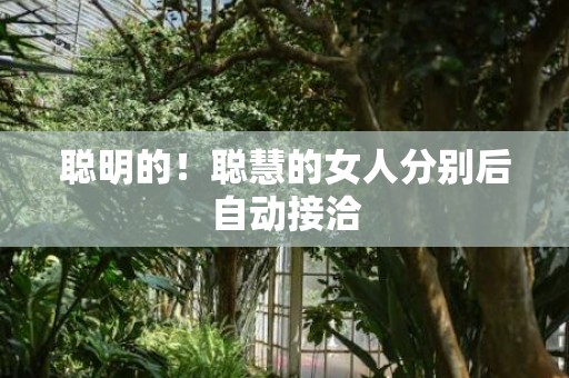 聪明的！聪慧的女人分别后自动接洽