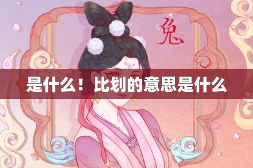是什么！比划的意思是什么